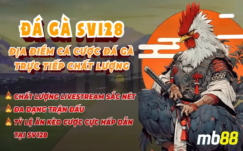 Đá gà SV128 MB88 - Sảnh Đá Gà Đẳng Cấp, Nhiều Ưu Đãi