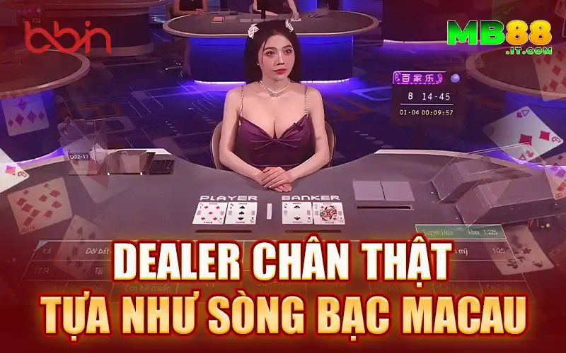 BBIN - Nhà Phát Hành Game Casino Đẳng Cấp Quốc Tế 2026