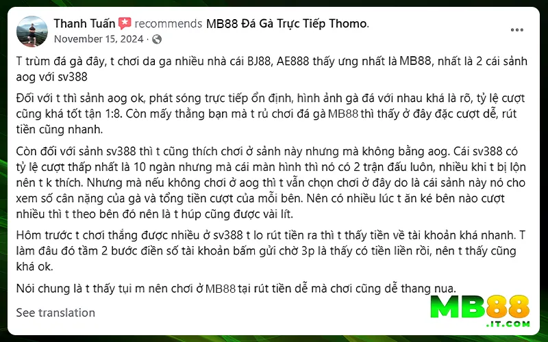 Bài Đánh Giá Về MB88 - Góc Nhìn Khách Quan Từ Dân Cá Cược